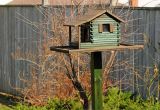 Elaborate Bird House Plans Pdf Diy Elaborate Bird House Plans Download Easy Wood