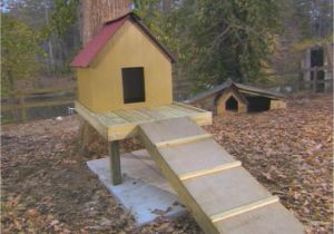 Elevated Dog House Plans How to Build A Dog Treehouse How tos Diy Elevated Dog House Plans How to Build A Dog Treehouse How tos Diy