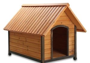 Elevated Dog House Plans Pet Squeak Arf Frame Raised Wooden Dog House Free