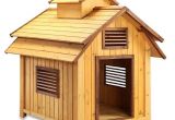 Elevated Dog House Plans Pet Squeak Bird Dog Raised Wooden Dog House Free