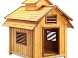 Elevated Dog House Plans Pet Squeak Bird Dog Raised Wooden Dog House Free