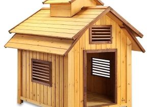 Elevated Dog House Plans Pet Squeak Bird Dog Raised Wooden Dog House Free Elevated Dog House Plans Pet Squeak Bird Dog Raised Wooden Dog House Free
