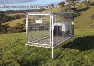Elevated Dog House Plans the Bark Raised Kennels