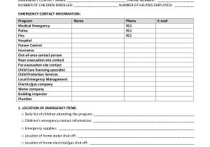 Emergency Disaster Plan for Family Child Care Homes 27 Emergency Plan Examples