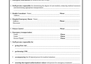 Emergency Disaster Plan for Family Child Care Homes Care Plan Templates 13 Free Word Pdf format Download