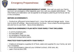 Emergency Disaster Plan for Family Child Care Homes Emergency Operations Desk Reference Ppt Download