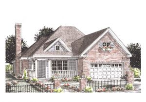 Empty Nest Home Plans Empty Nester House Plans One Story Empty Nester Home