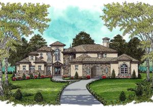European Estate House Plans European Estate Home 9332el Architectural Designs