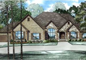 European Home Plans One Story European House Plan 3 Bedrooms 3 Bath 4076 Sq Ft Plan