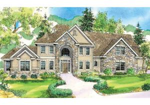 European Home Plans with Photos 21 top Photos Ideas for European House Plan Architecture