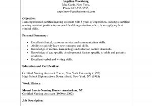 Event Planning Jobs From Home Contemporary event Planner Resume Summary Crest Resume