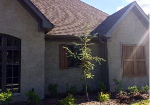 Family Home Plans 82162 Craftsman European House Plan 82162 Family Home Plans 82162 Craftsman European House Plan 82162