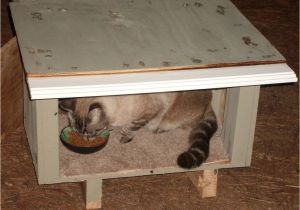 Feral Cat House Plans Free Feral Cat House Plans House Plans