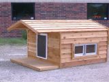 Flat Roof Dog House Plans Free Simple Flat Roof Dog House Plans Youtube