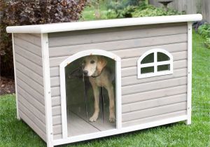 Flat Roof Dog House Plans Free Spotty Xl Insulated Flat Roof Dog House with Heater at