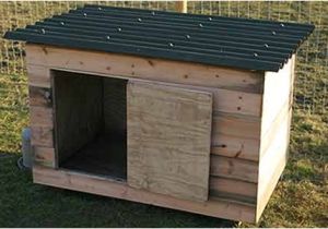 Floating Duck House Plans Instructions A Cheap Chicken or Duck House