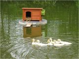 Floating Duck House Plans Instructions Duck Houses On Ponds Here 39 S A Pic Of the Duck House