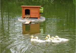 Floating Duck House Plans Instructions Duck Houses On Ponds Here 39 S A Pic Of the Duck House