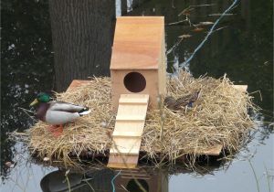 Floating Duck House Plans Instructions Floating Duck House Plans Free