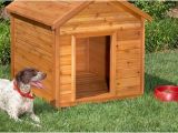 Free Dog House Plans for 2 Dogs 10 Free Dog House Plans Icreatived