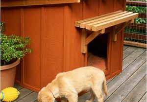Free Dog House Plans for 2 Dogs 10 Free Dog House Plans Woodworking Crazy