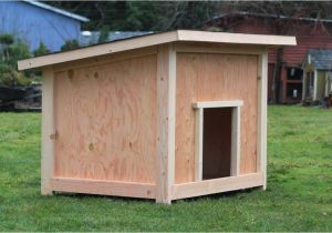 Free Large Breed Dog House Plans Diy Dog House for Beginner Ideas Build Plans Large Dogs D