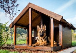 Free Large Breed Dog House Plans Diy Dog Kennel Building Tips Dogslife Dog Breeds Magazine