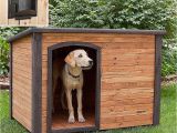 Free Large Breed Dog House Plans House Plans Diy Dog House Plans for Large New Diy Dog