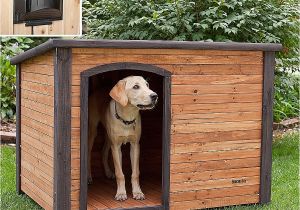 Free Large Breed Dog House Plans House Plans Diy Dog House Plans for Large New Diy Dog
