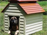Free Large Breed Dog House Plans Insulated Dog House Plans for Large Dogs Free