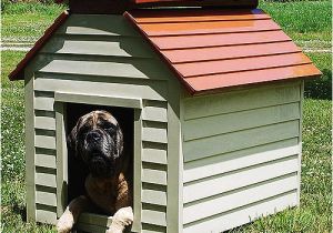 Free Large Breed Dog House Plans Insulated Dog House Plans for Large Dogs Free