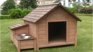 Free Large Breed Dog House Plans Large Breed Dog House Dogs Breed Sierramichelsslettvet