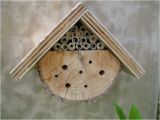 Free Mason Bee House Plans Pin by Paulette Pelley On Idea 39 S for 4h Pinterest