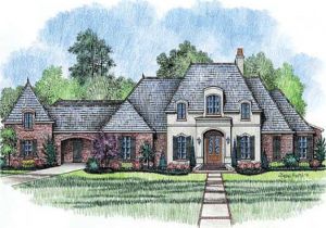 French Country Home Plans One Story One Story French Country House Plans 2018 House Plans