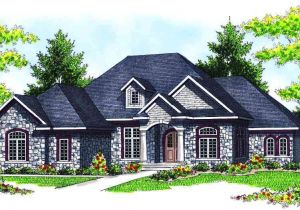 French Country Ranch Home Plans French Country Ranch House Plans for Narrow Lots House