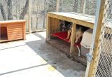 German Shepherd Dog House Plans German Shepherd Dog House Plans