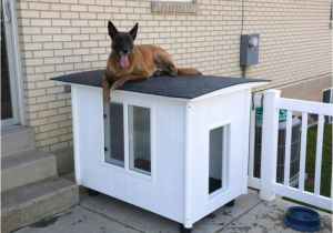 German Shepherd Dog House Plans German Shepherd Insulated Dog House Plans