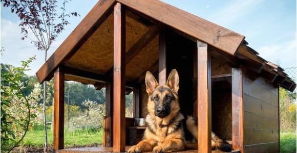 German Shepherd Dog House Plans Pet Talk Building the Ideal Dog House Www Statesman Com
