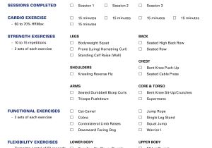 Get Fit at Home Plan 12 Week Home Exercise Program