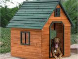 Giant Dog House Plans 1000 Ideas About Extra Large Dog Kennel On Pinterest