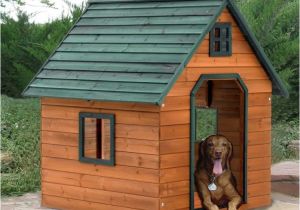 Giant Dog House Plans 1000 Ideas About Extra Large Dog Kennel On Pinterest