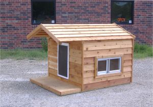 Giant Dog House Plans Giant Dog Houses for Sale Home Improvement