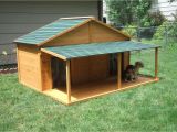 Giant Dog House Plans Your Big Friend Needs A Large Dog House Mybktouch Com