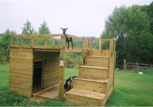 Goat Housing Plans 25 Best Ideas About Goat House On Pinterest Goat