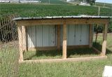 Goat Housing Plans Cheap Goat Shelter New Goat Shed and Weaning Kids