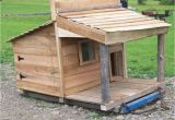 Goat Housing Plans Goat House Goat House Plans Homestead Revival Planning