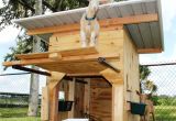Goat Housing Plans Nigerian Dwarf Goats Pick Me Yard