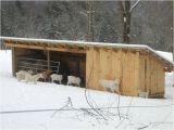 Goat Housing Plans the Goat Barn Http Rainbowfarmwv Com Images Images