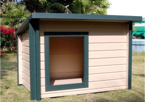 Great Dane Dog House Plans 17 Best Ideas About Large Dog House On Pinterest Dog