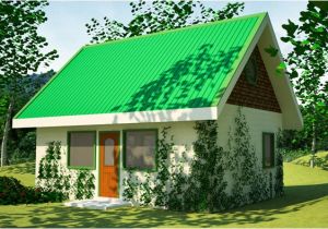 Green Home Building Plans Green House Plan
